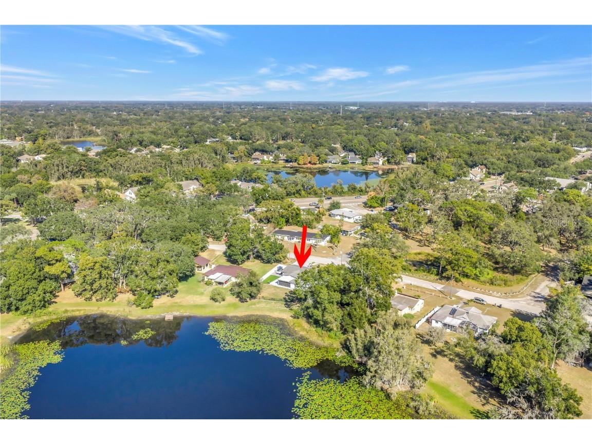 13216 Forest Hills Drive Tampa FL 33612 TB8451367 image59