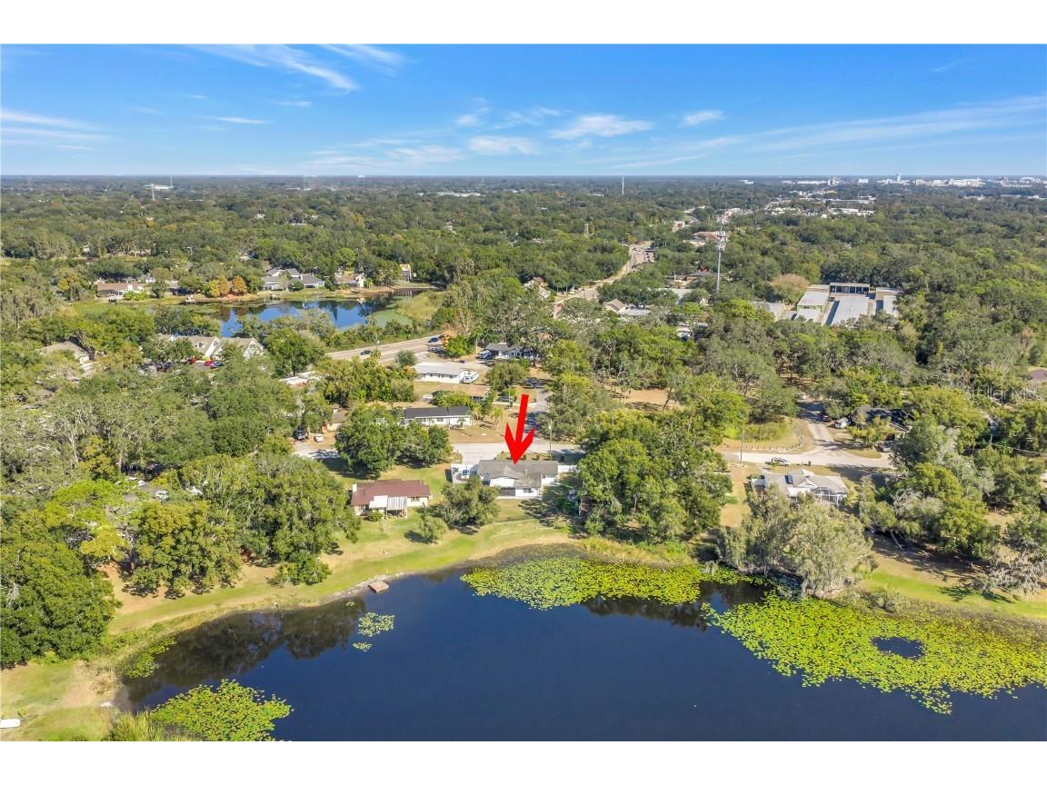 13216 Forest Hills Drive Tampa FL 33612 TB8451367 image60