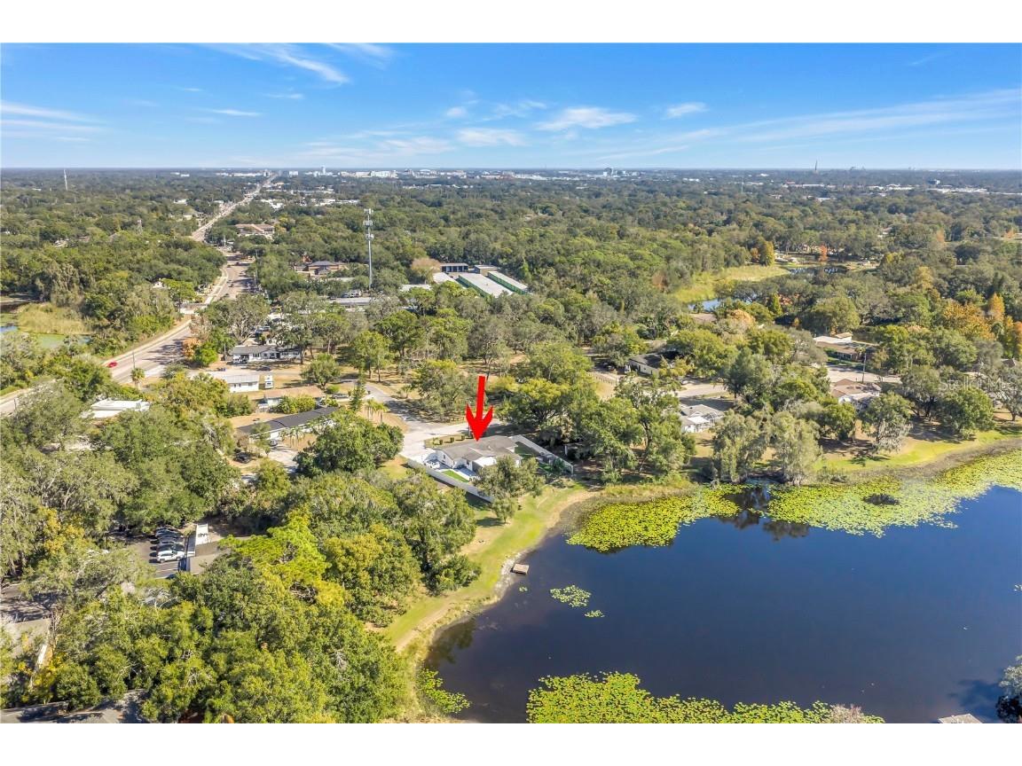 13216 Forest Hills Drive Tampa FL 33612 TB8451367 image61