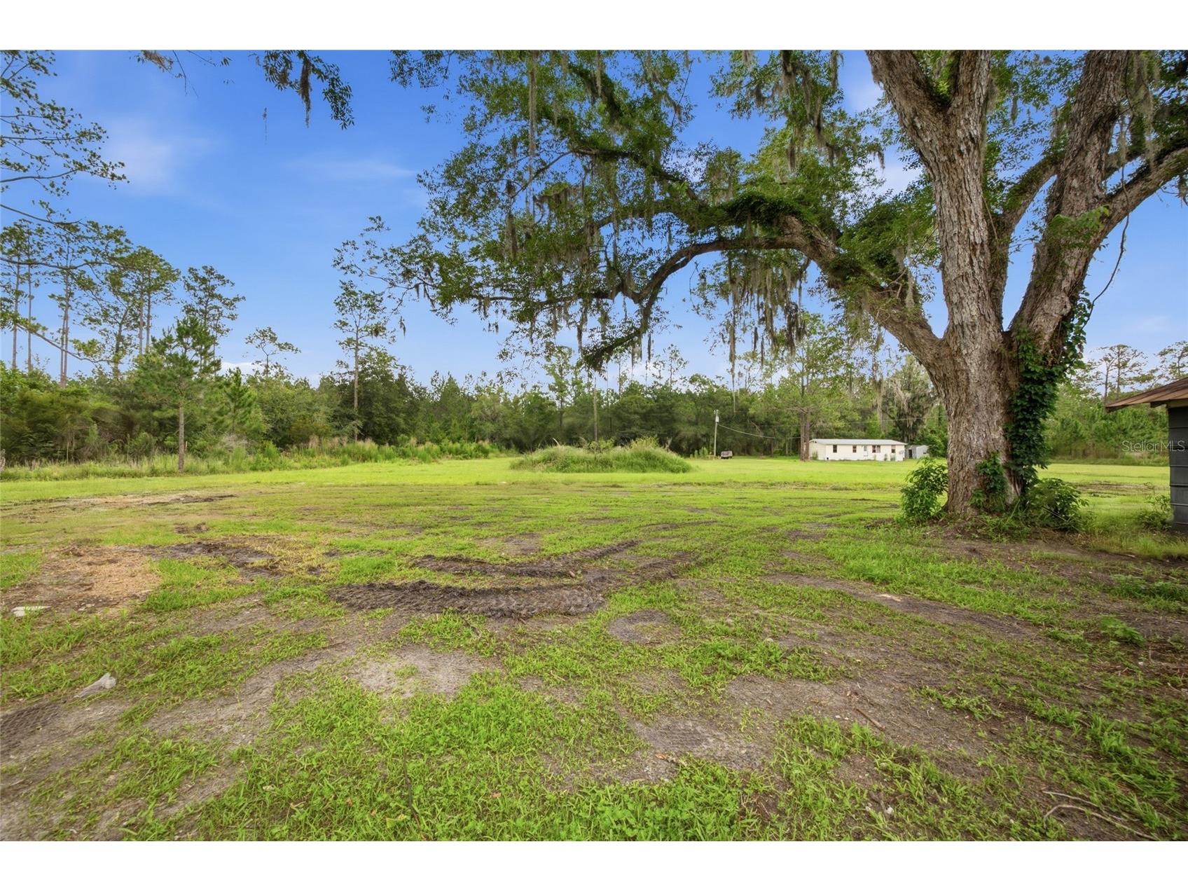 13216 NE 140th Street Waldo FL 32694 TB8521909 image25
