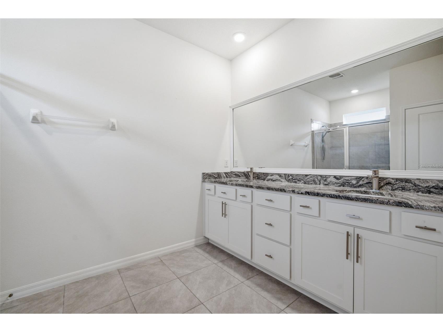 13216 Waterleaf Garden Circle Riverview FL 33579 TB8506592 image25