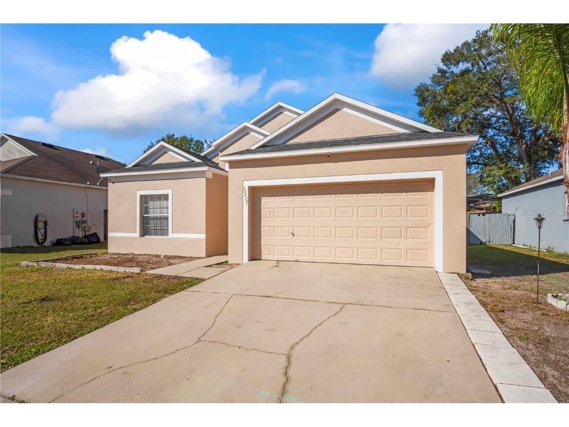 13217 Beechberry Drive Riverview FL 33579 T3427796 image1