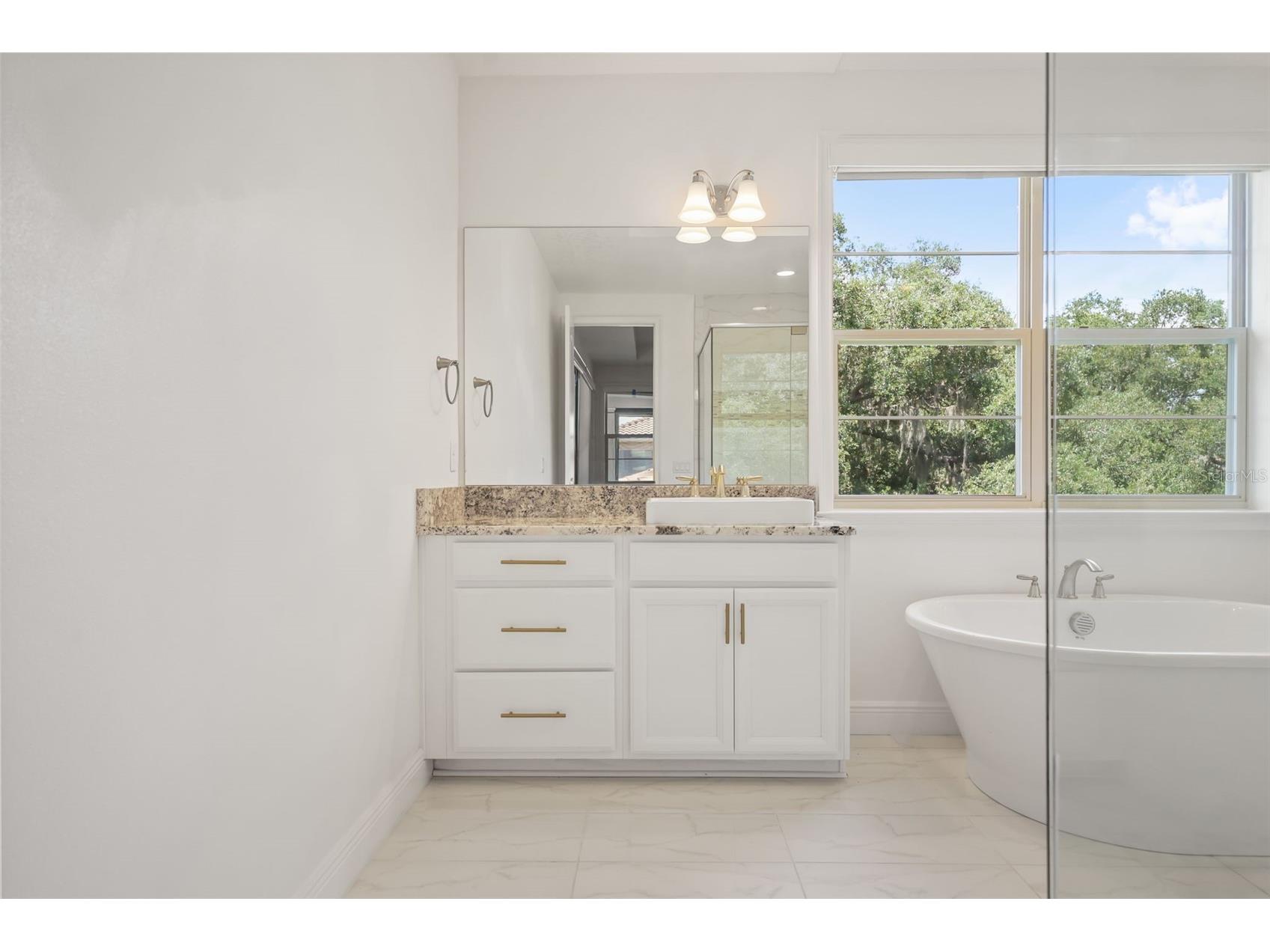 13217 Bromborough Drive Orlando FL 32832 O6416579 image50