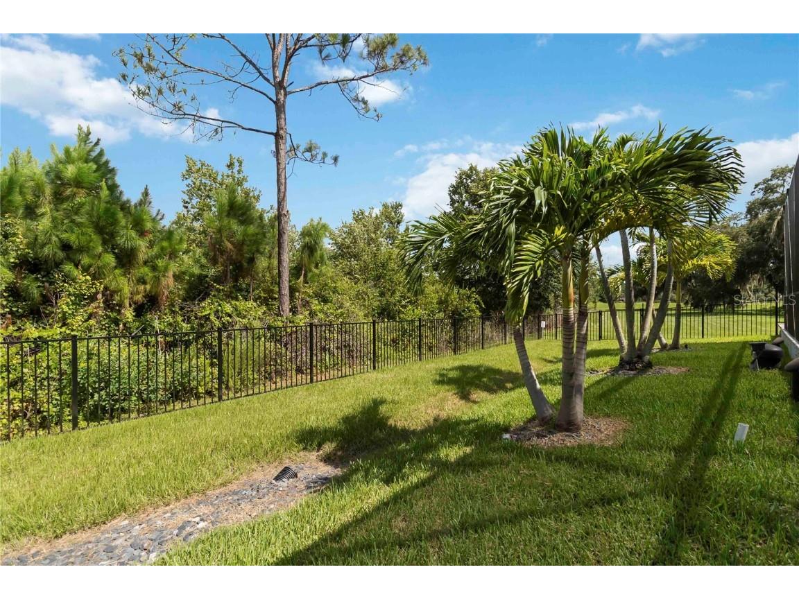 13217 Bromborough Drive Orlando FL 32832 S5131145 image55