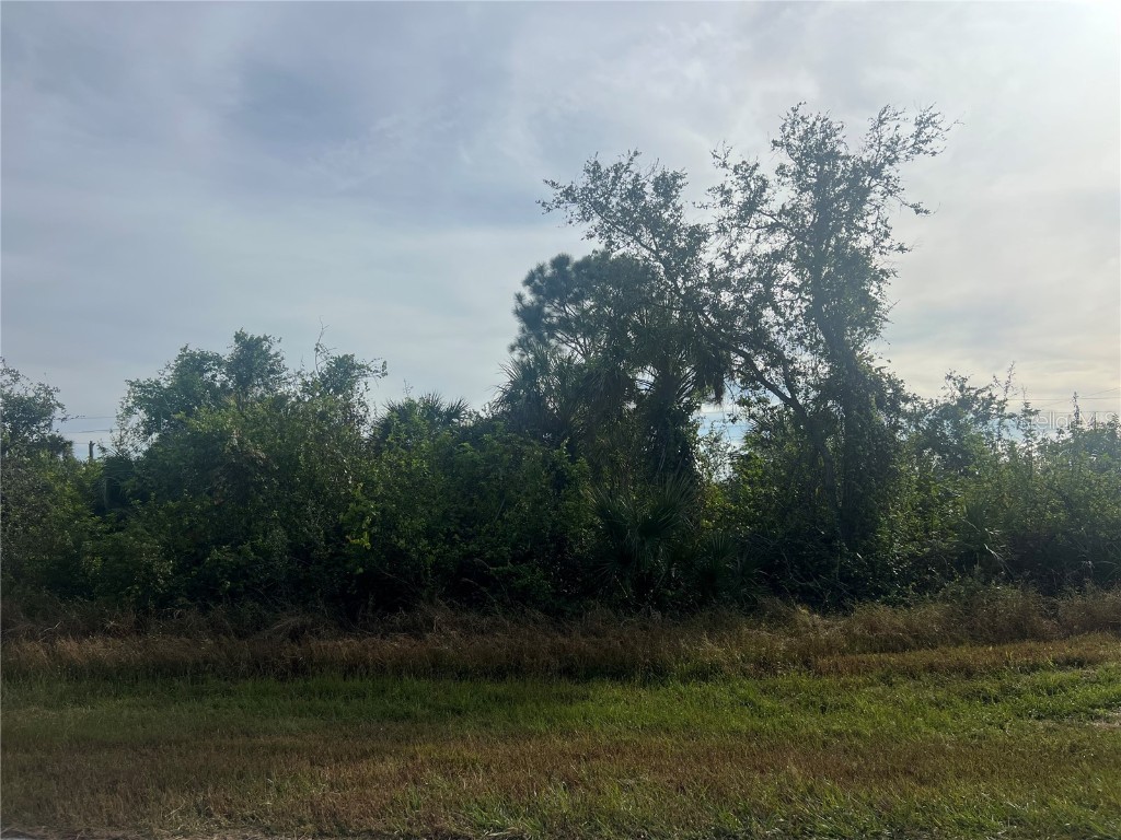 13217 Galveston Avenue Port Charlotte FL 33981 C7501870 image1