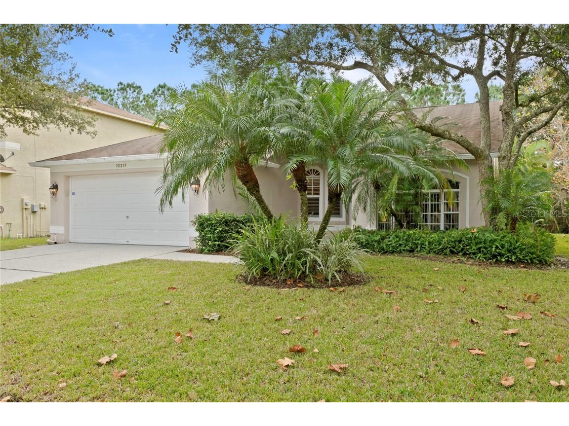 13217 Royal George Avenue Odessa FL 33556 T3340771 image1