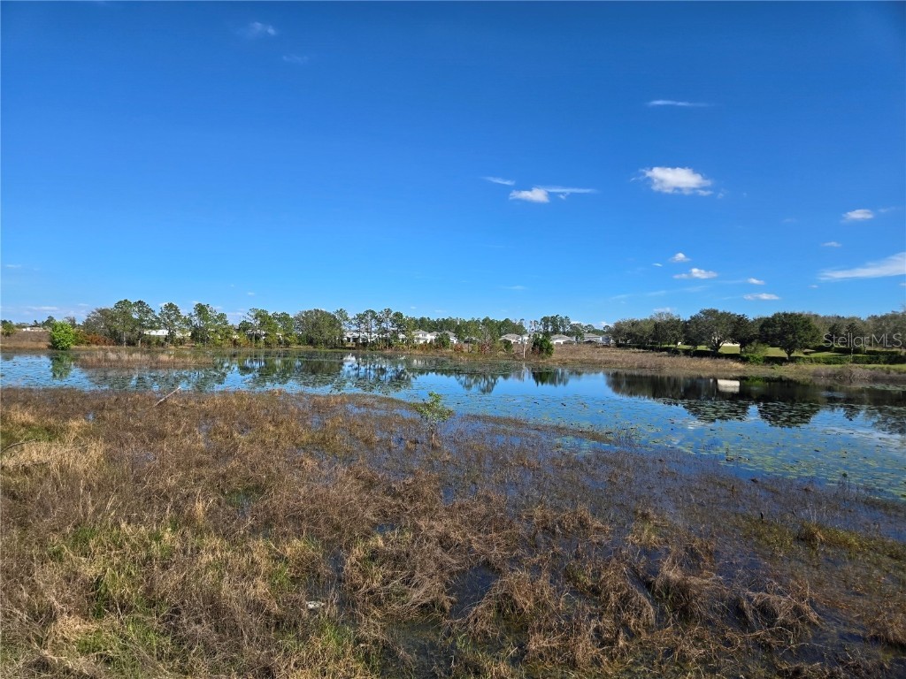 13217 Tollcross Way Winter Garden FL 34787 O6285385 image36