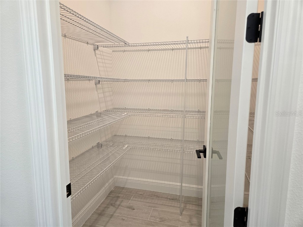 13217 Tollcross Way Winter Garden FL 34787 O6285385 image41