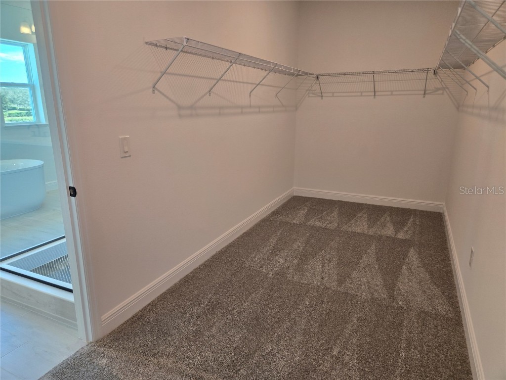 13217 Tollcross Way Winter Garden FL 34787 O6285385 image68