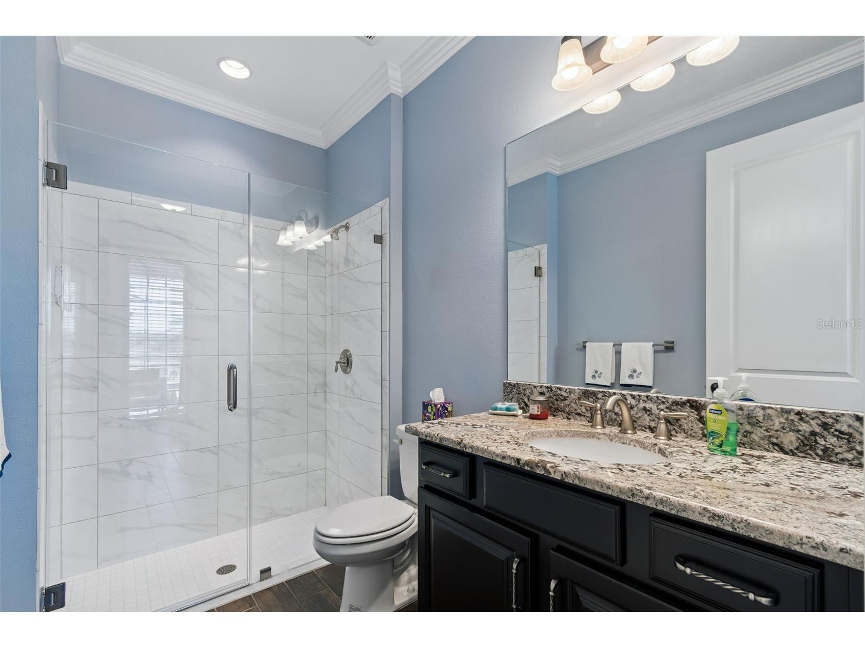 13218 Batten Lane Odessa FL 33556 TB8505905 image22