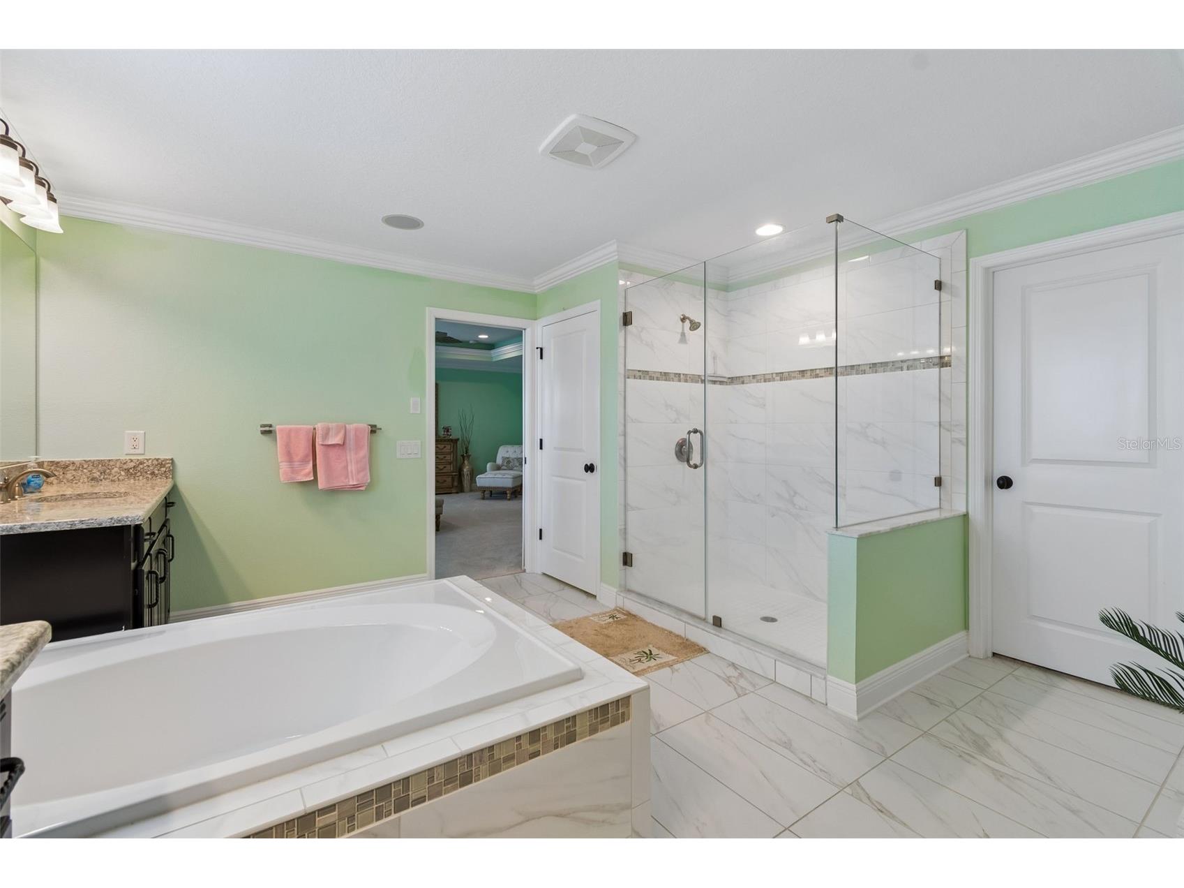 13218 Batten Lane Odessa FL 33556 TB8505905 image33