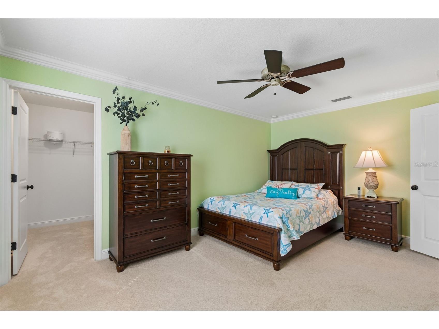 13218 Batten Lane Odessa FL 33556 TB8505905 image37