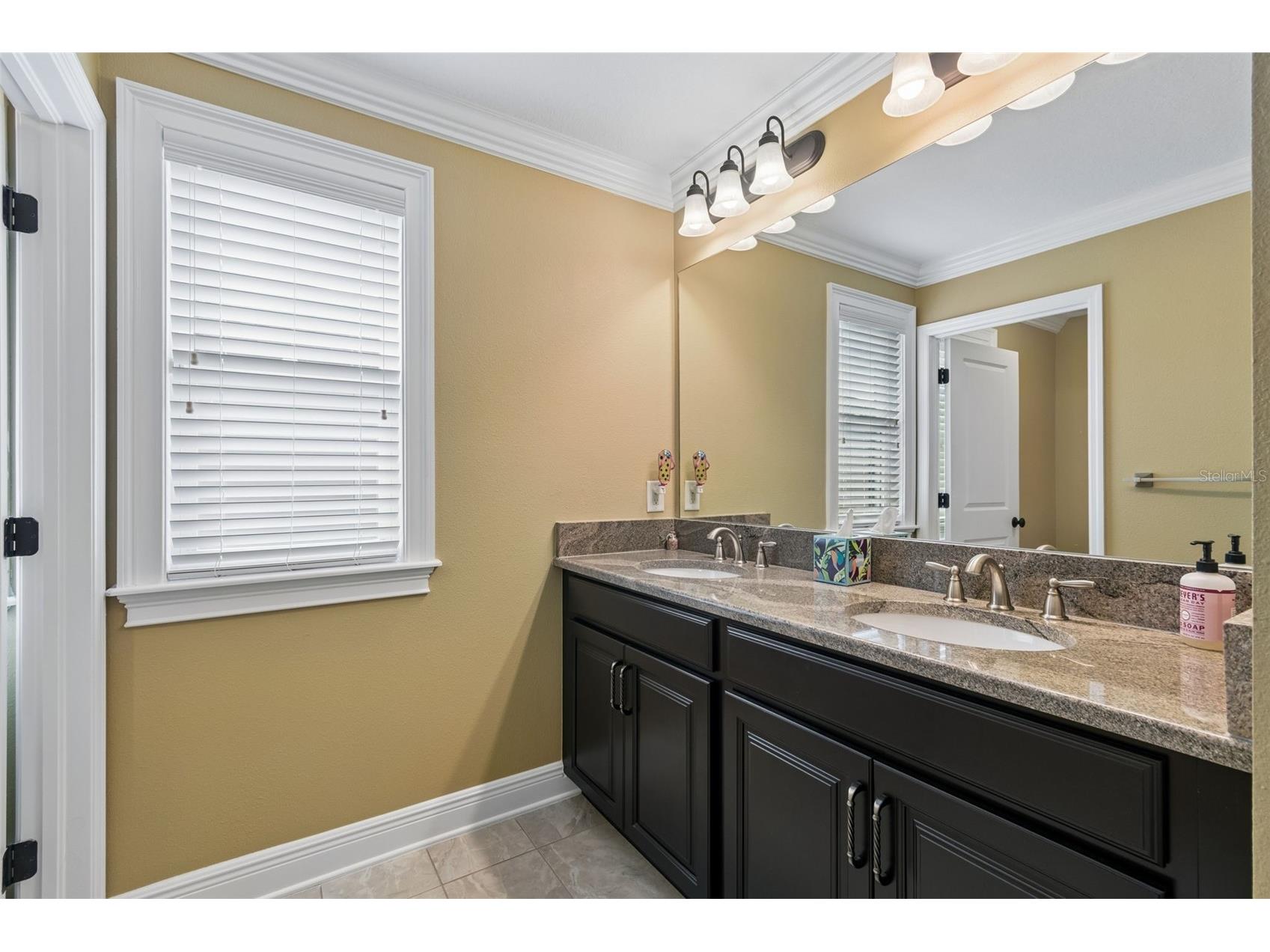 13218 Batten Lane Odessa FL 33556 TB8505905 image40