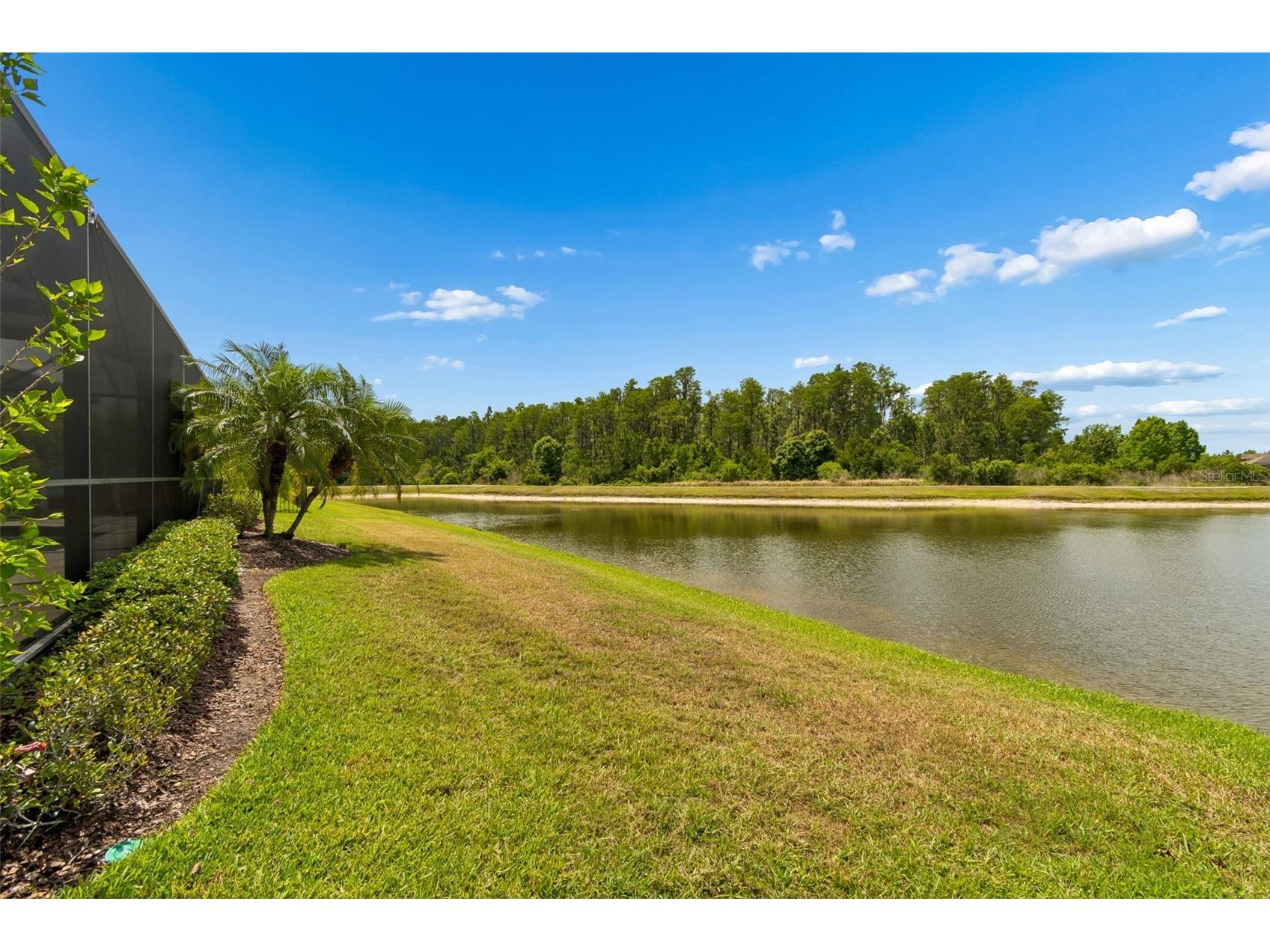 13218 Batten Lane Odessa FL 33556 TB8505905 image48