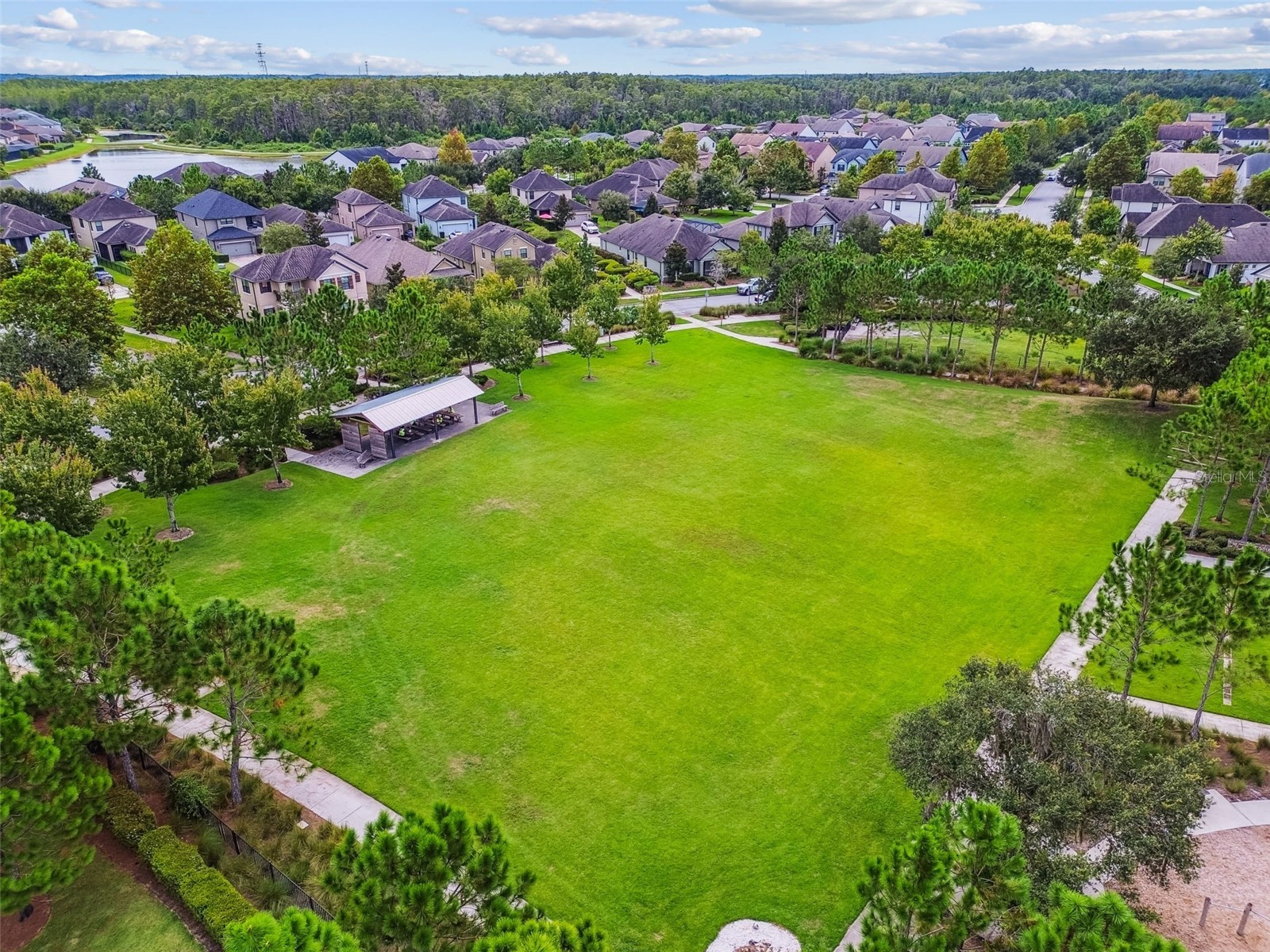 13218 Batten Lane Odessa FL 33556 TB8505905 image57