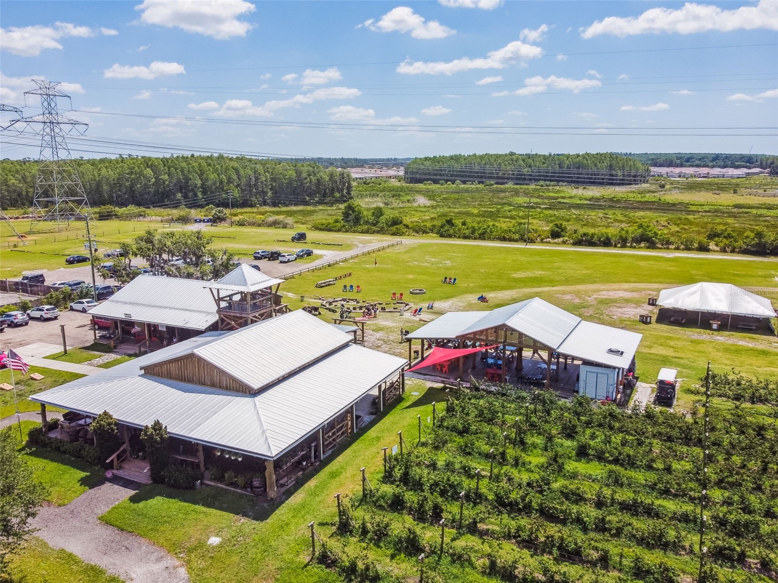 13218 Batten Lane Odessa FL 33556 TB8505905 image59