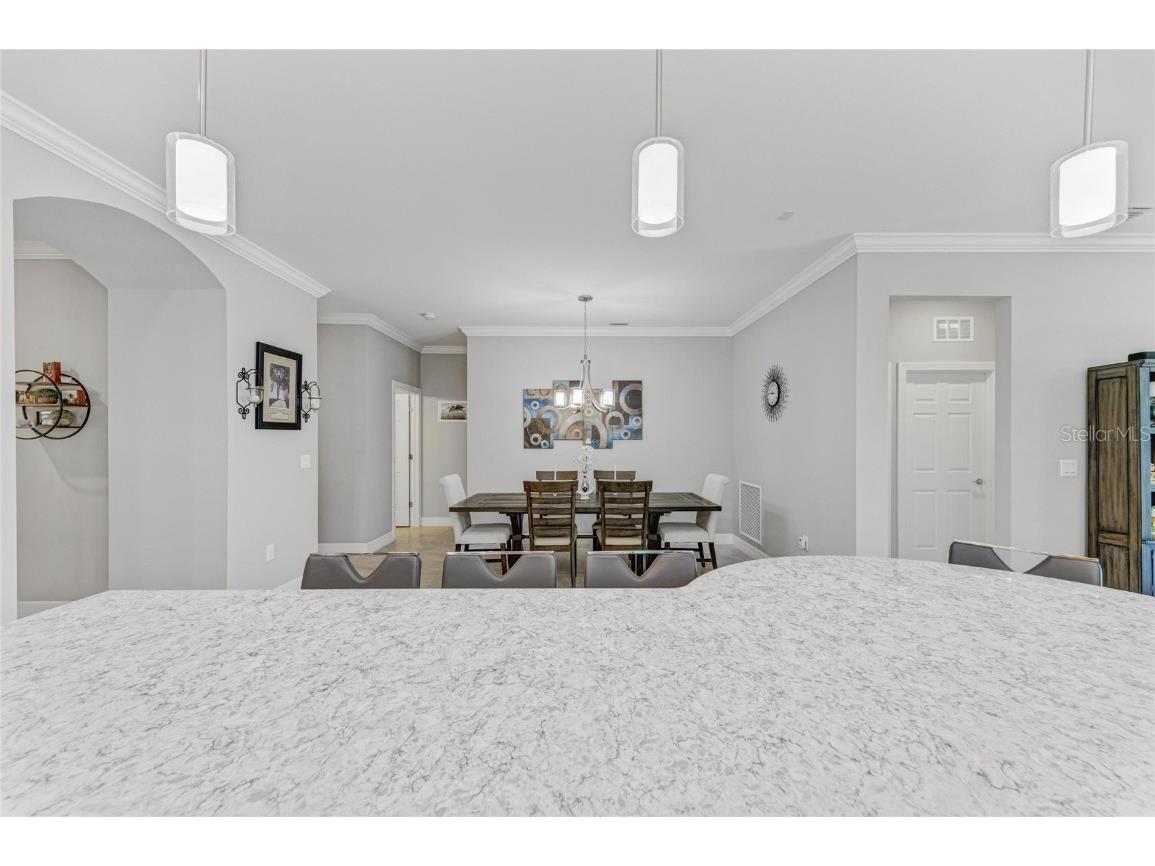 13219 Borrego Street Venice FL 34293 N6141525 image21