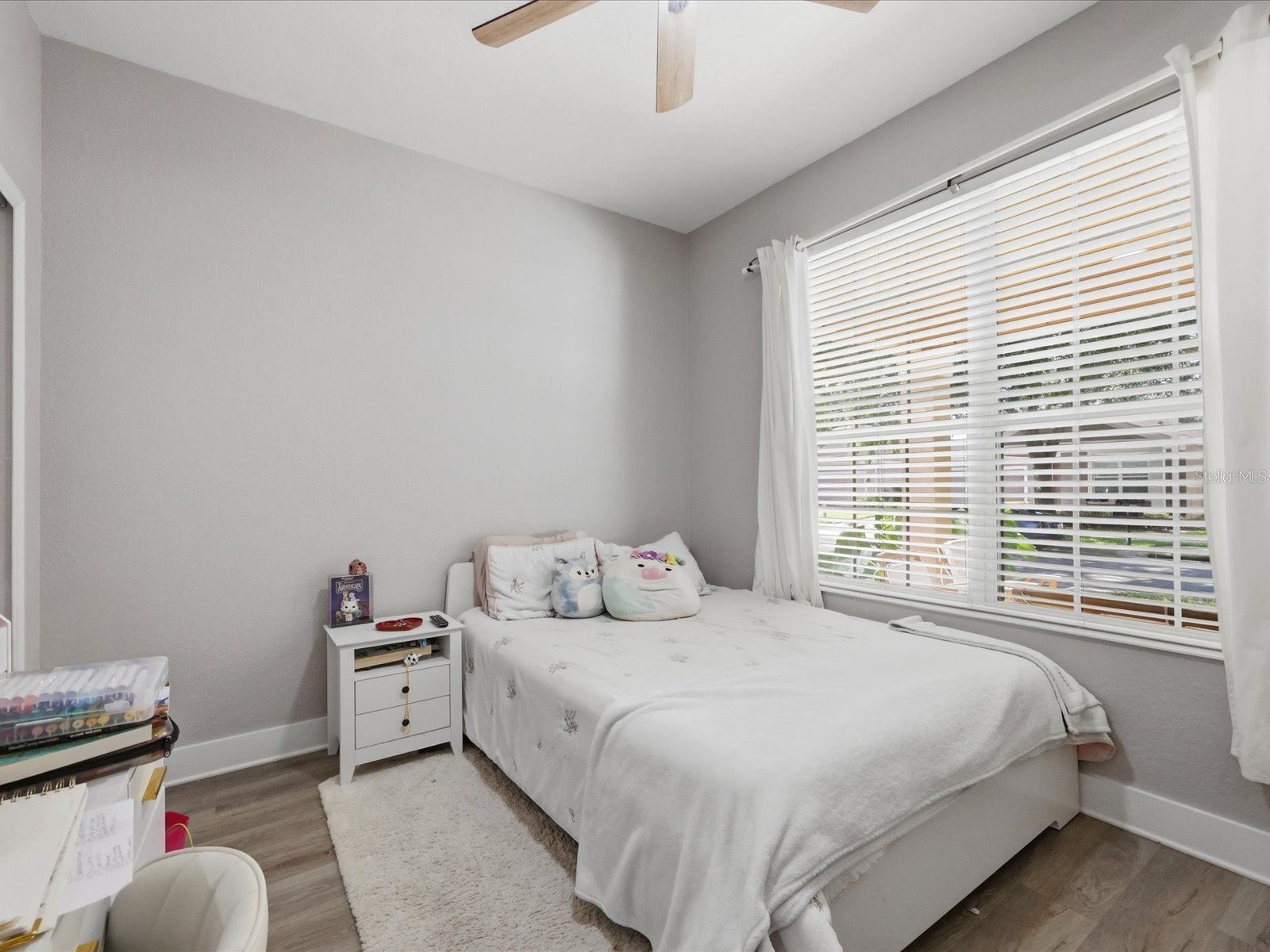 13219 Charfield Street Windermere FL 34786 O6420991 image20