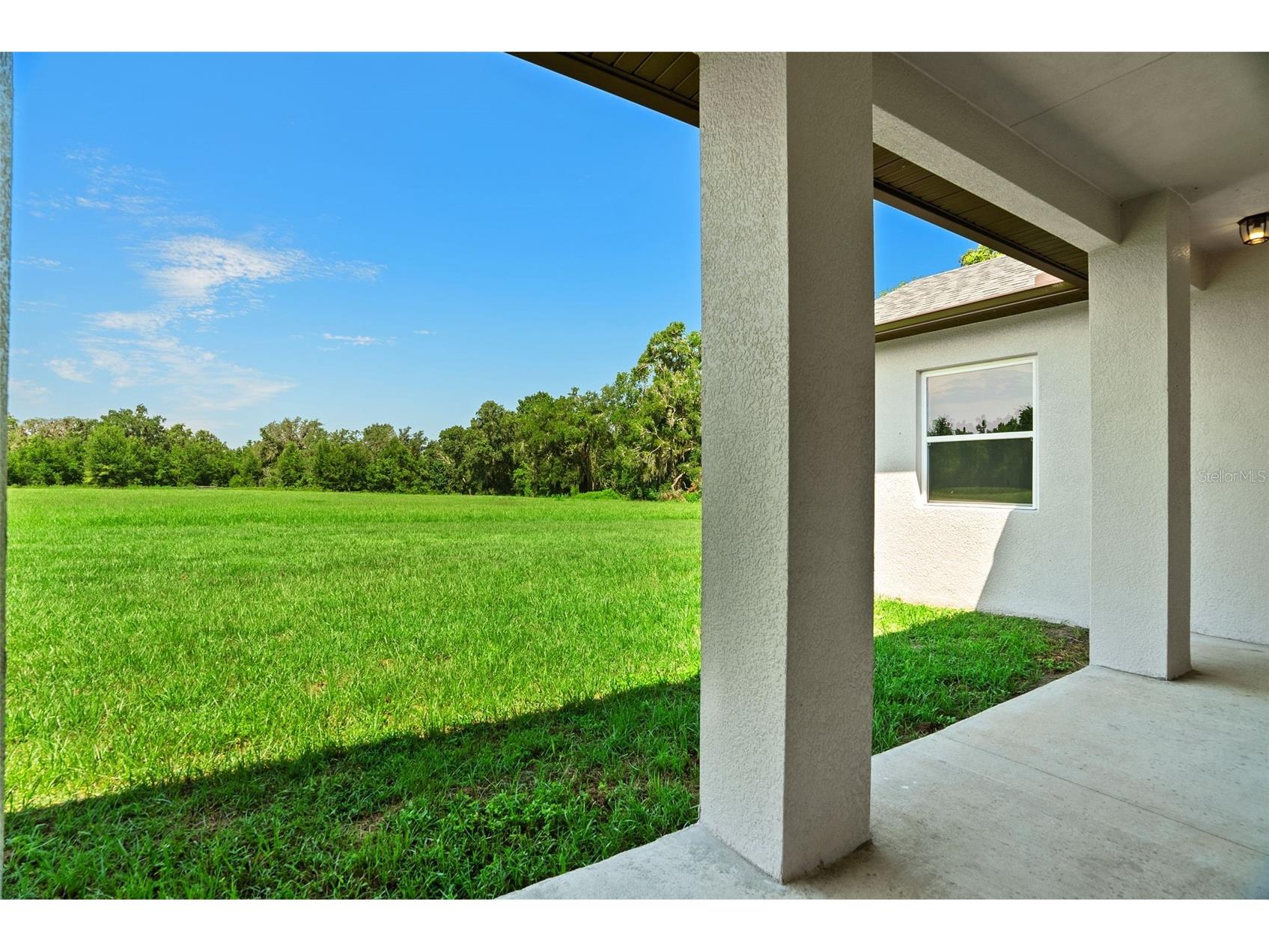 13219 Newgent Road San Antonio FL 33576 TB8424094 image50