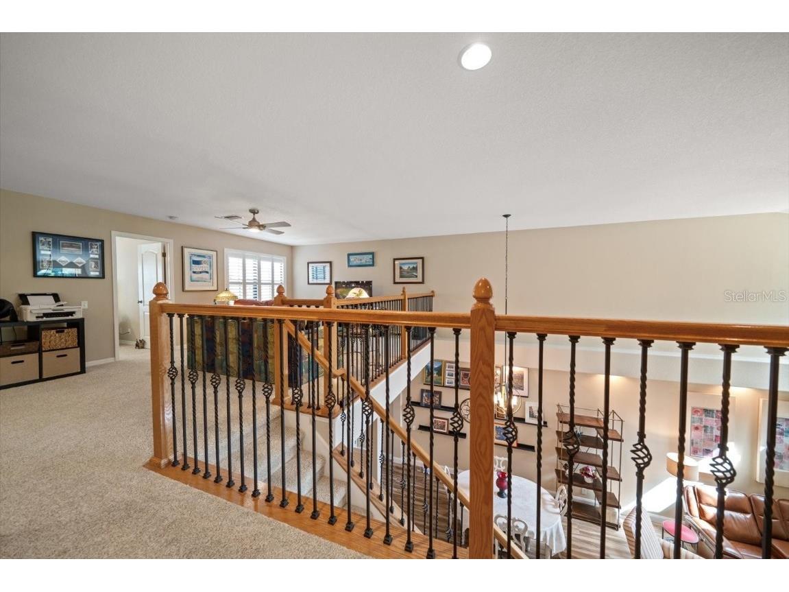 13219 San Blas Loop Largo FL 33774 TB8438077 image26