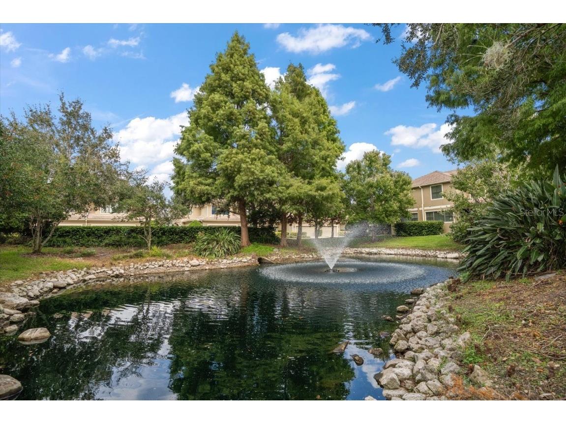 13219 San Blas Loop Largo FL 33774 TB8438077 image35