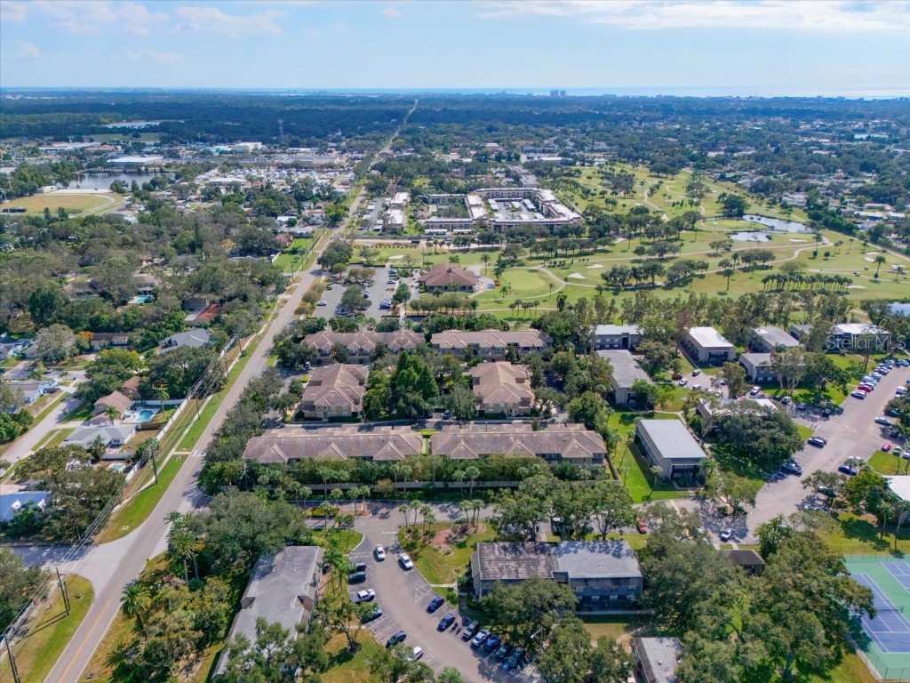 13219 San Blas Loop Largo FL 33774 TB8438077 image39