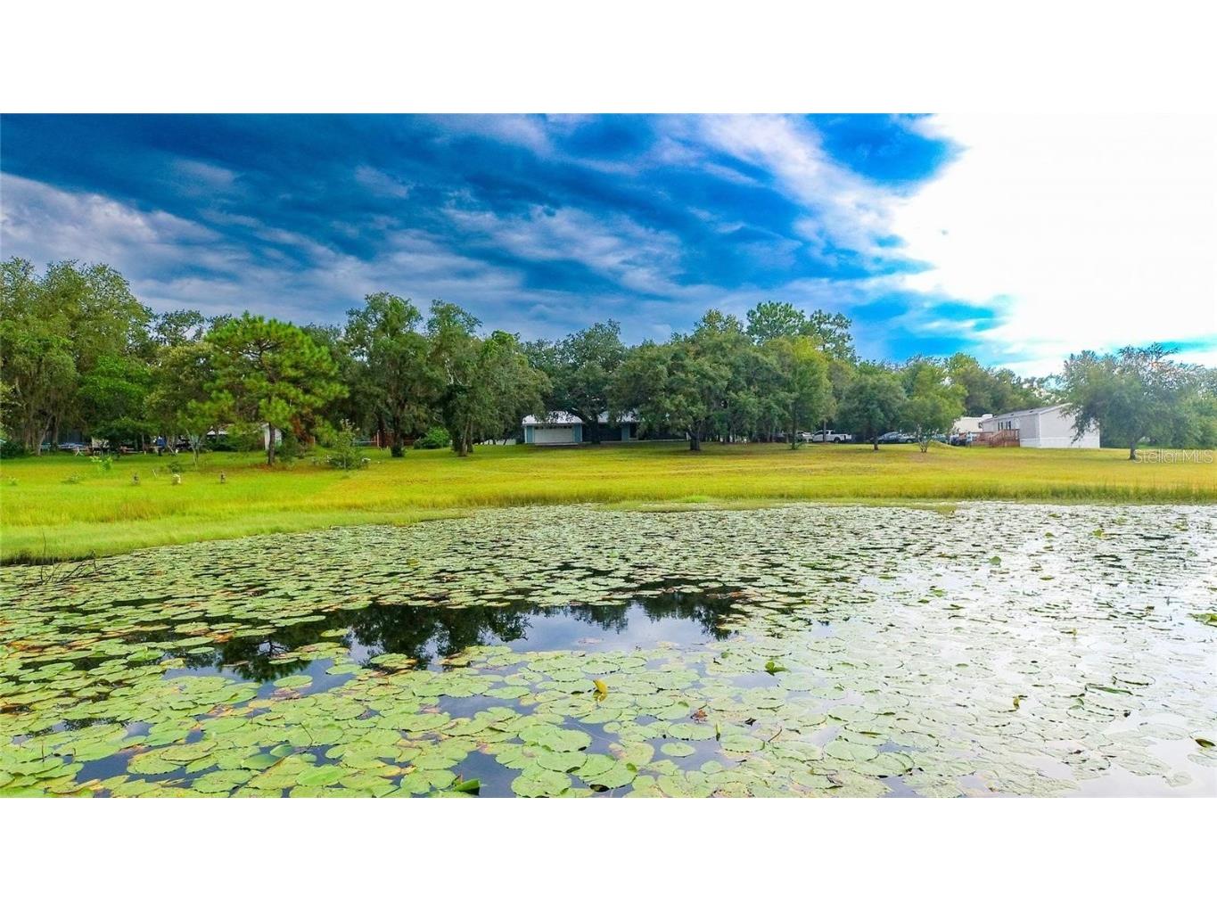 13219 Tyrone Street Hudson FL 34667 TB8434713 image77