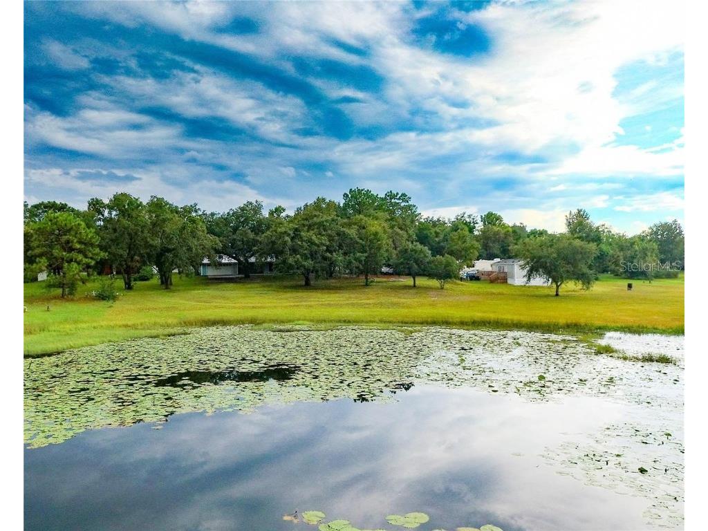 13219 Tyrone Street Hudson FL 34667 TB8434713 image86