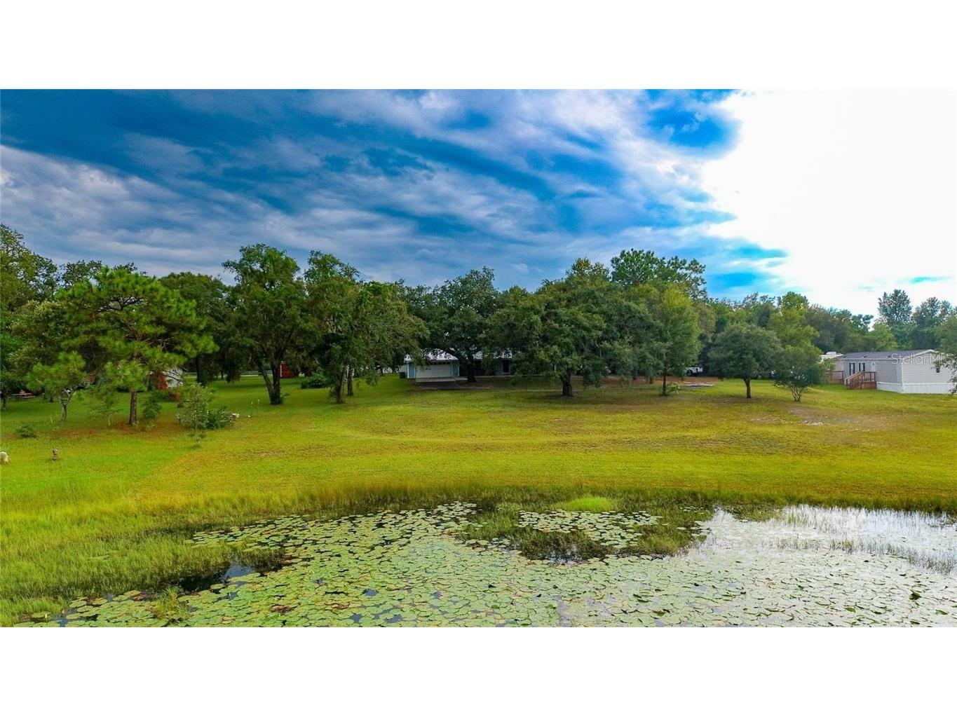 13219 Tyrone Street Hudson FL 34667 TB8434713 image87