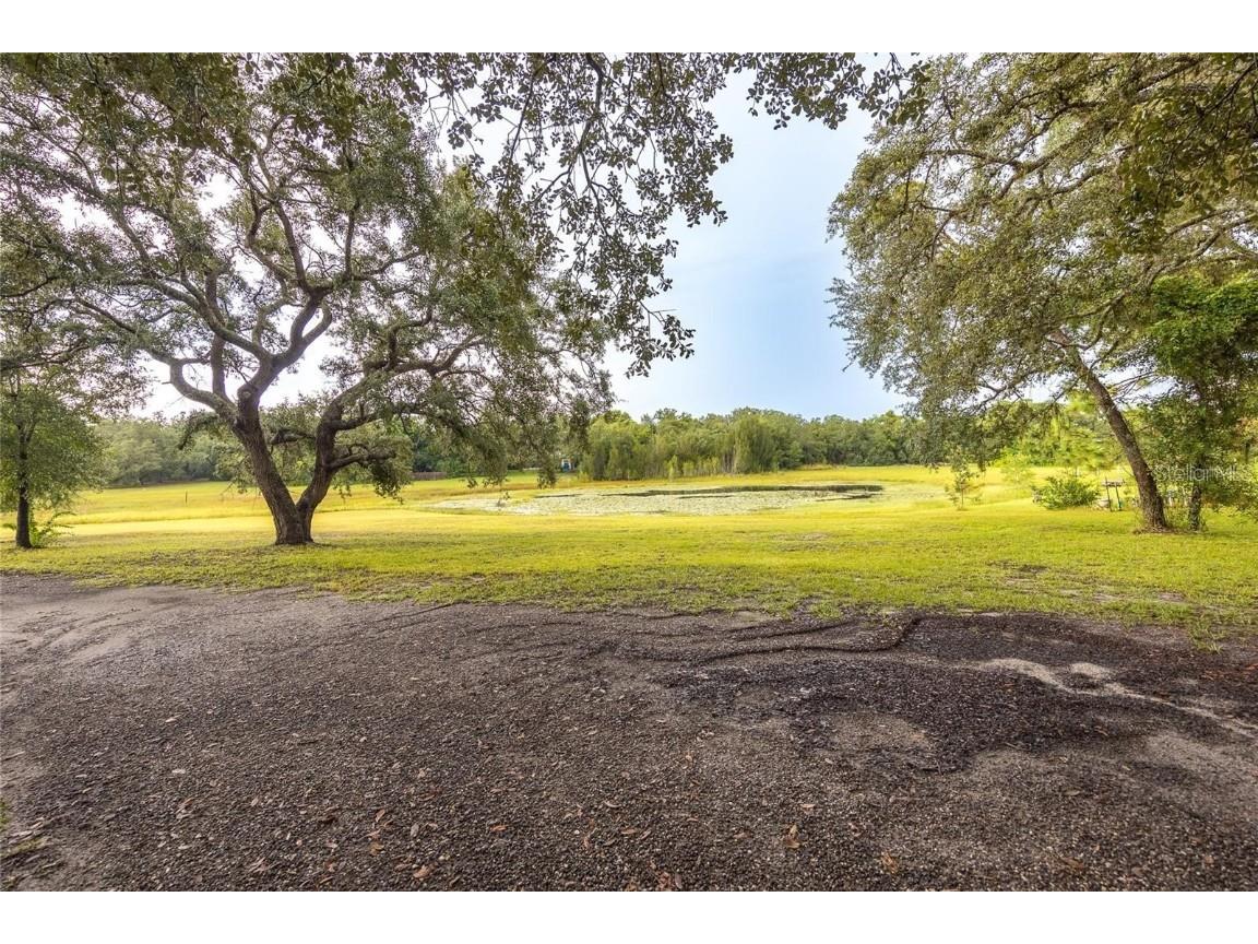 13219 Tyrone Street Hudson FL 34667 TB8434713 image89