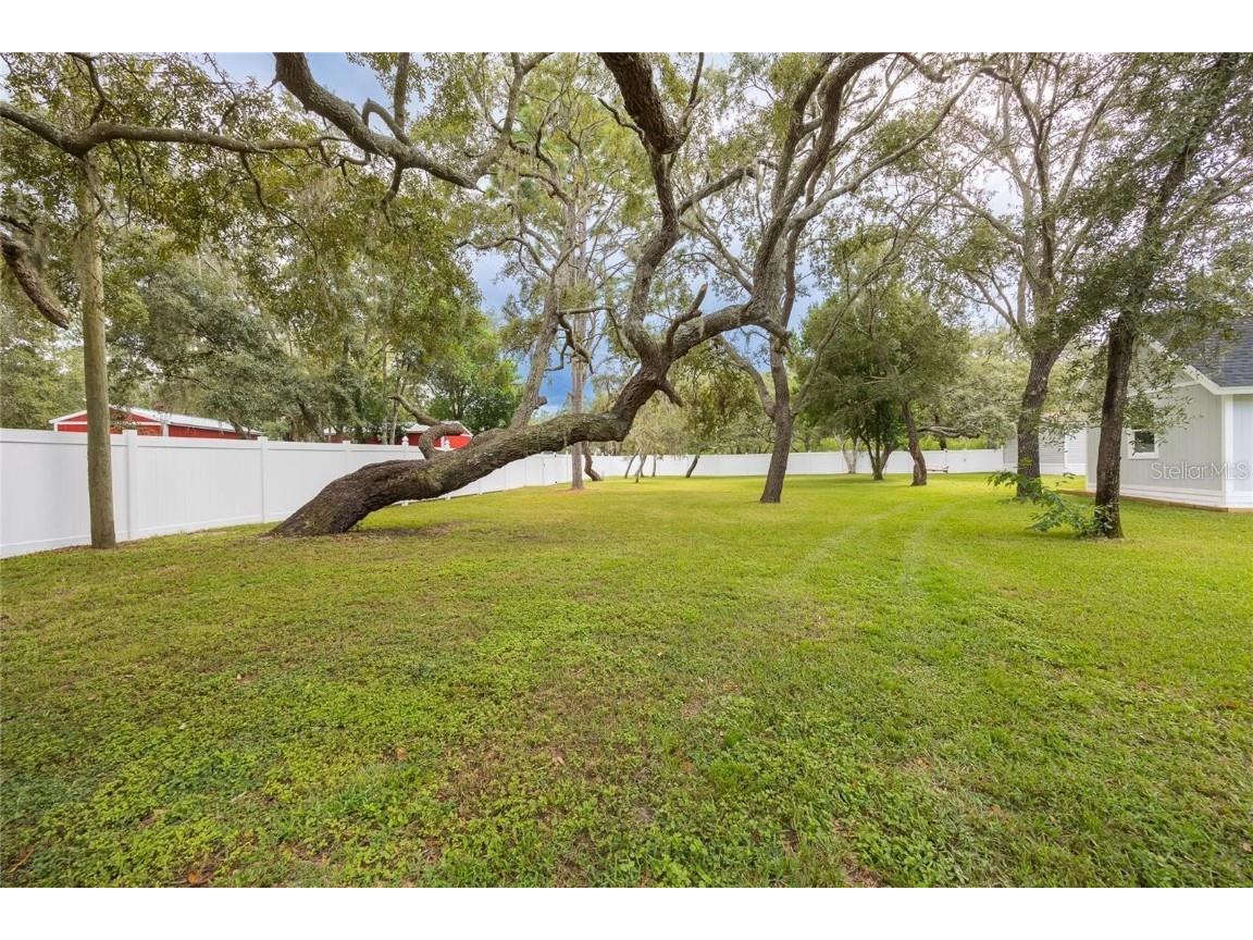 13219 Tyrone Street Hudson FL 34667 TB8434713 image92