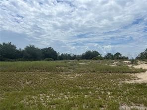 1322 Hillsborough Drive Kissimmee FL 34759 S5143866 image1
