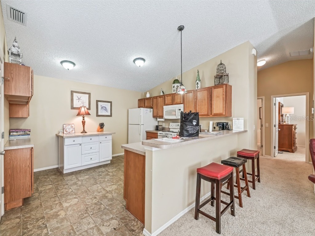 1322 Hollyberry Place The Villages FL 32162 OM705544 image11