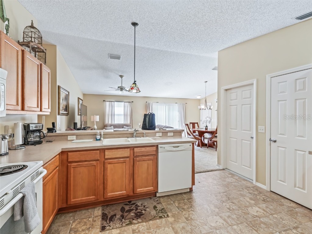 1322 Hollyberry Place The Villages FL 32162 OM705544 image14