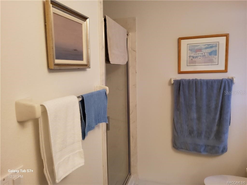 1322 S Brookfield Drive Lecanto FL 34461 OM713034 image10