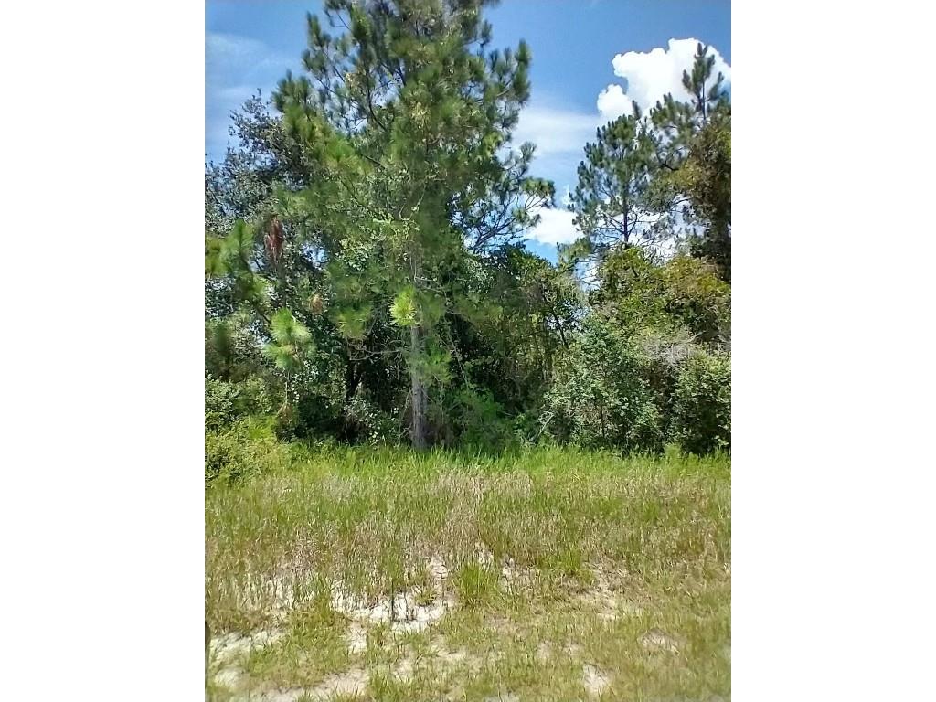 1322 Tallahassee Court Kissimmee FL 34759 T3545556 image1