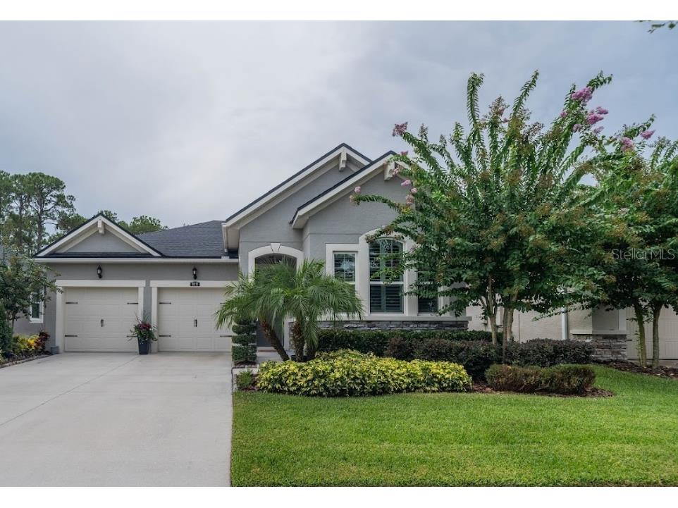 13221 Baby Belle Drive Riverview FL 33579 T3466131 image1