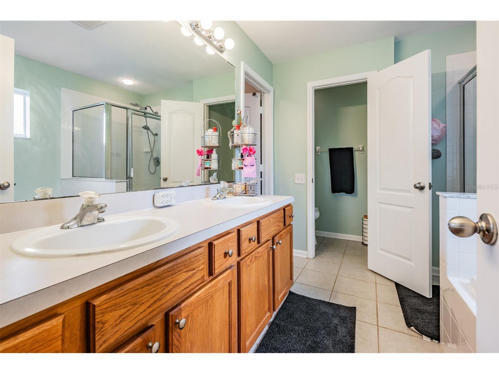 13221 Evening Sunset Lane Riverview FL 33579 TB8493679 image18