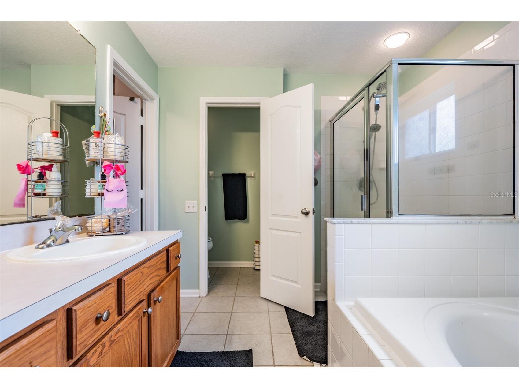 13221 Evening Sunset Lane Riverview FL 33579 TB8493679 image19