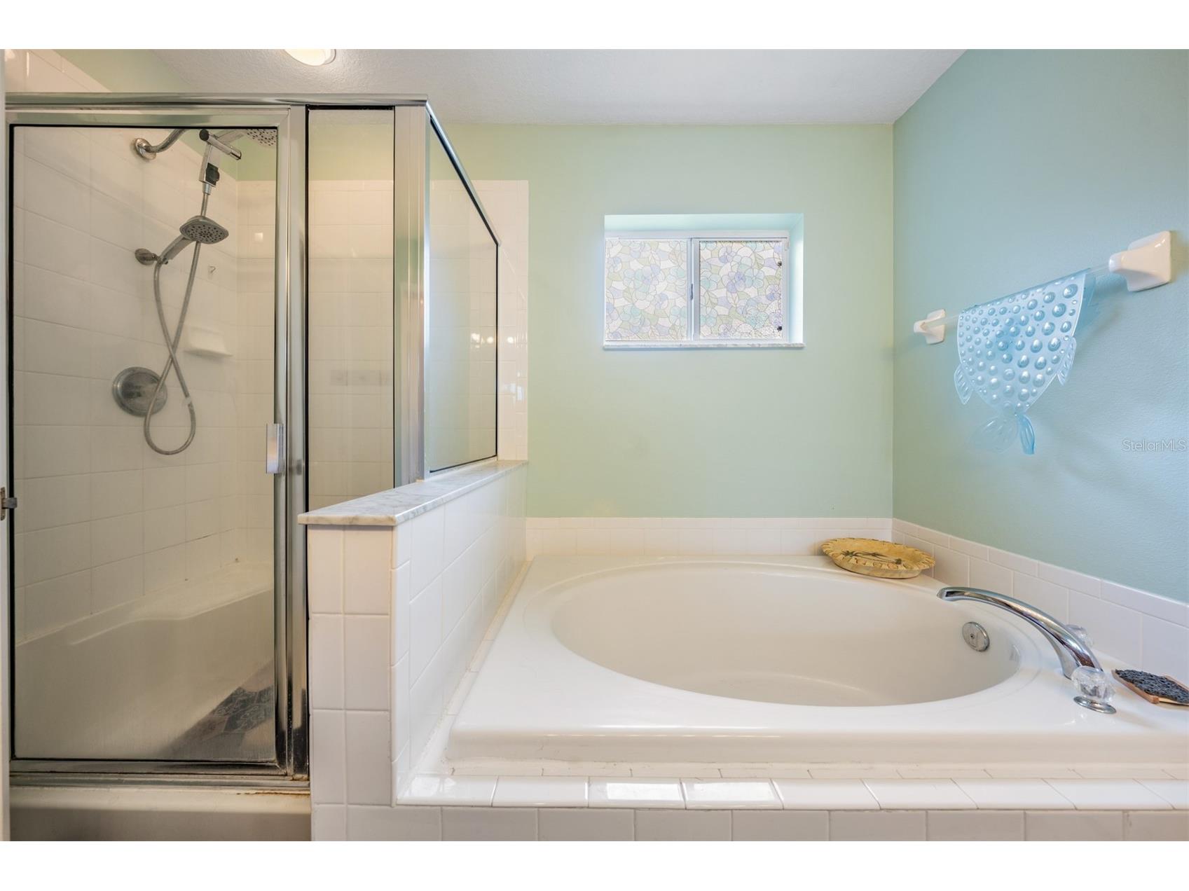 13221 Evening Sunset Lane Riverview FL 33579 TB8493679 image20