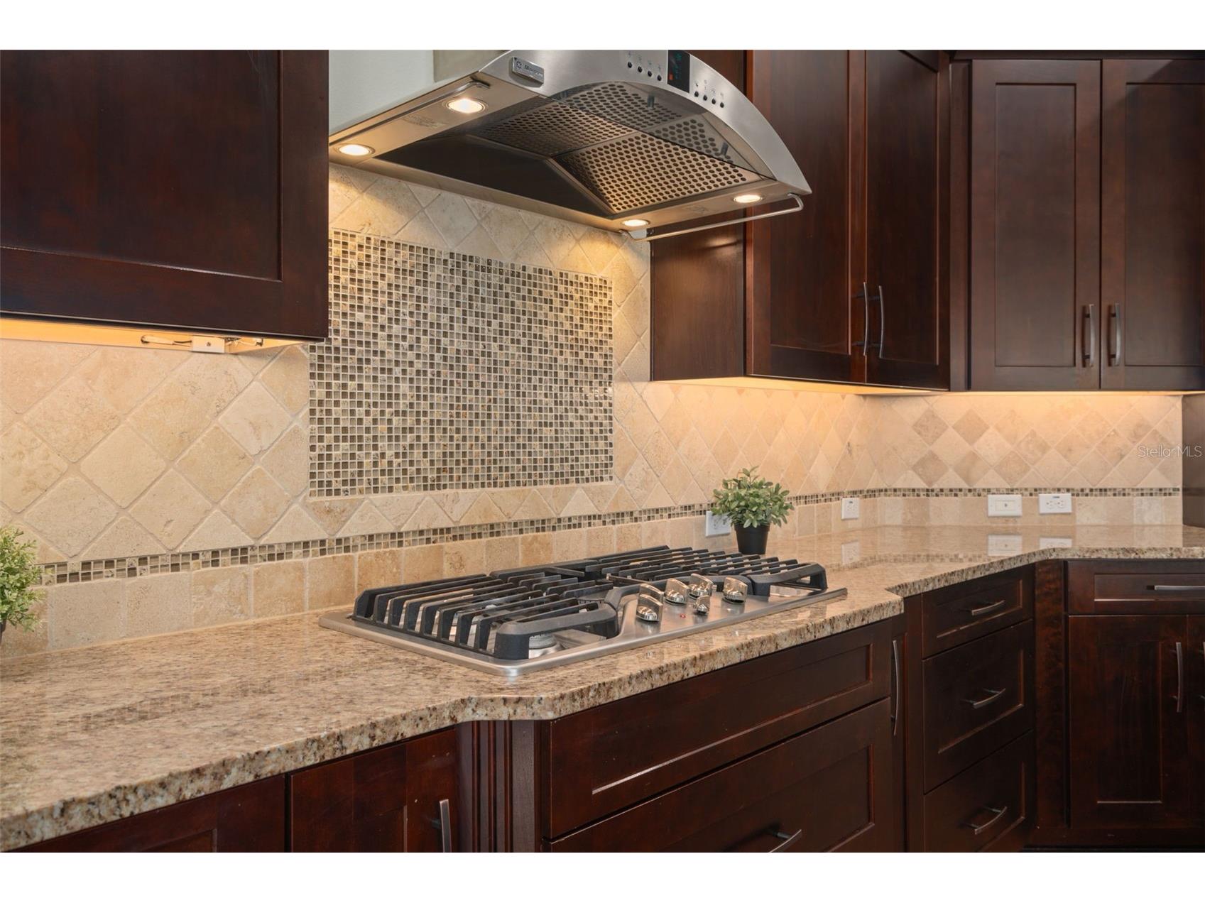 13221 Lower Harden Avenue Orlando FL 32827 S5148052 image15
