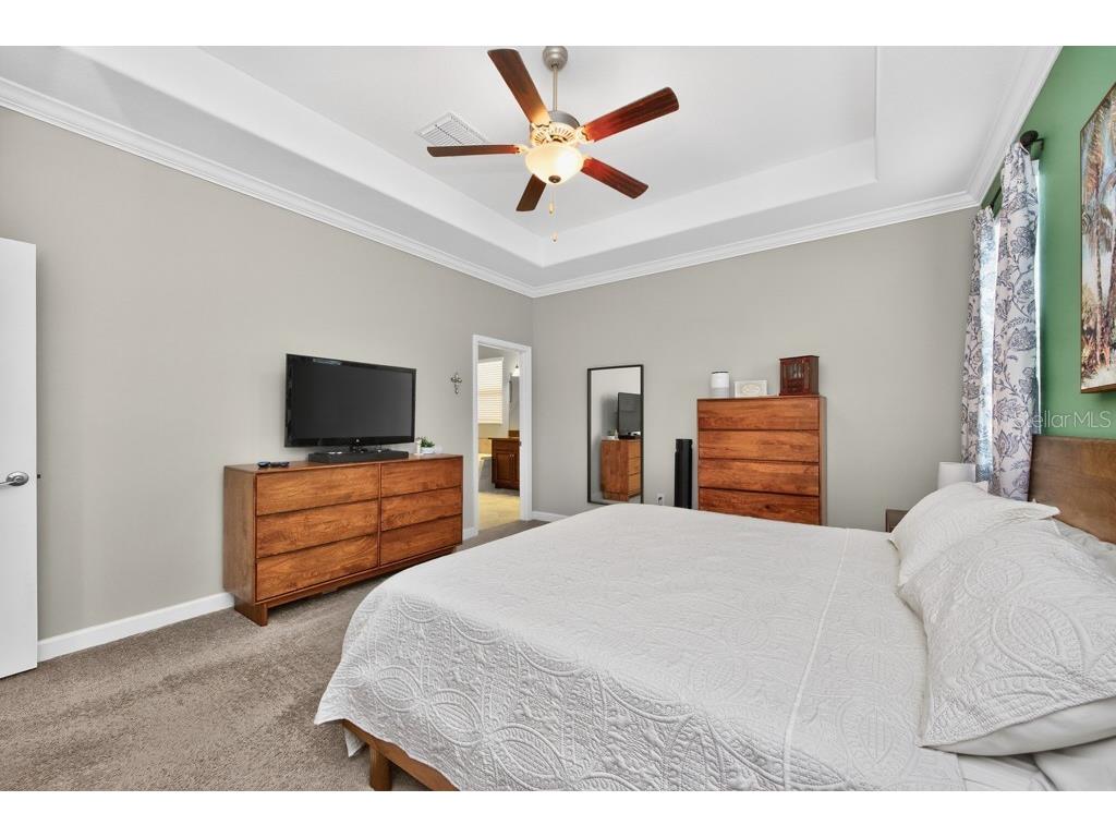 13222 Orca Sound Drive Riverview FL 33579 TB8495072 image17