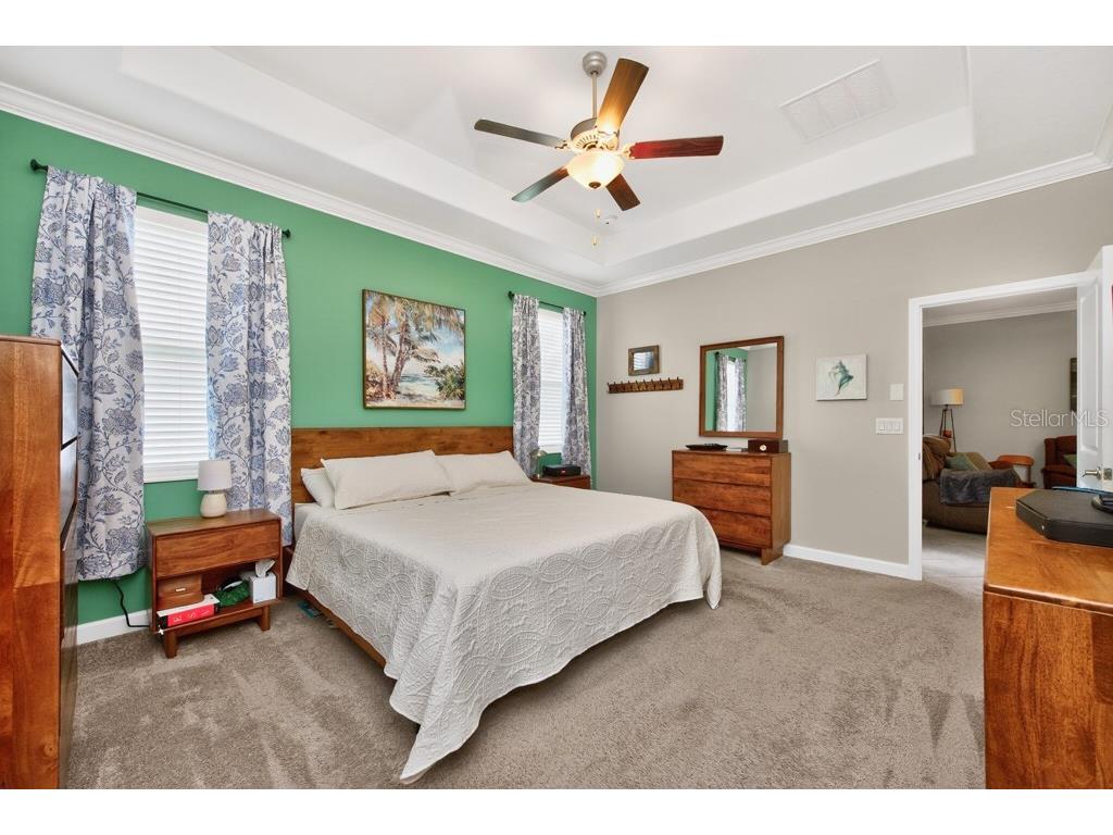13222 Orca Sound Drive Riverview FL 33579 TB8495072 image18
