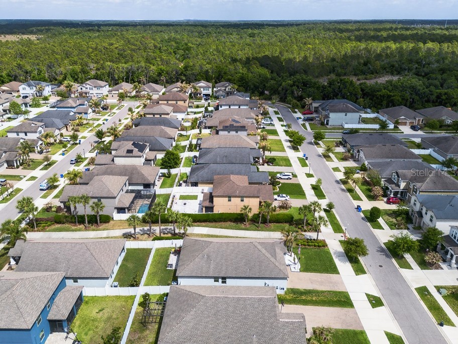 13222 Orca Sound Drive Riverview FL 33579 TB8495072 image40