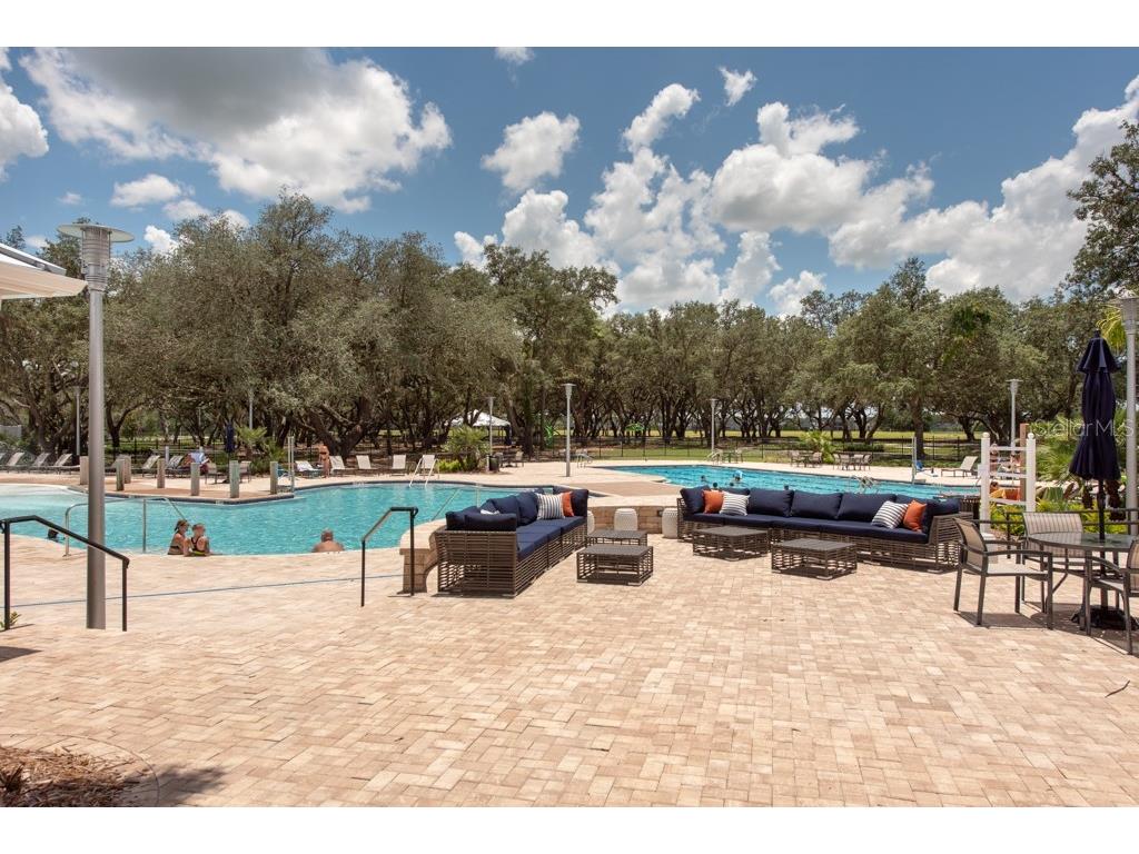 13222 Orca Sound Drive Riverview FL 33579 TB8495072 image45