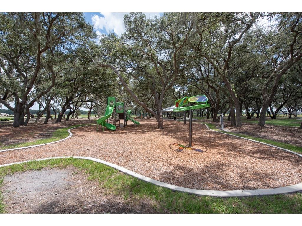 13222 Orca Sound Drive Riverview FL 33579 TB8495072 image49