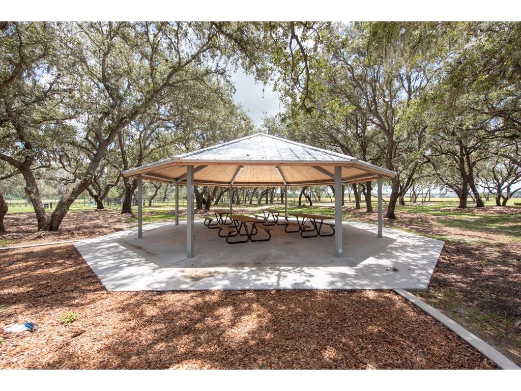 13222 Orca Sound Drive Riverview FL 33579 TB8495072 image50