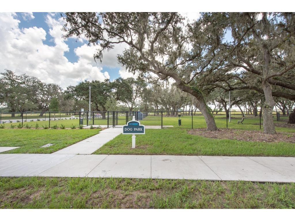 13222 Orca Sound Drive Riverview FL 33579 TB8495072 image51