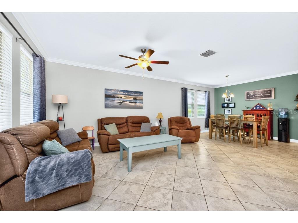 13222 Orca Sound Drive Riverview FL 33579 TB8495072 image8