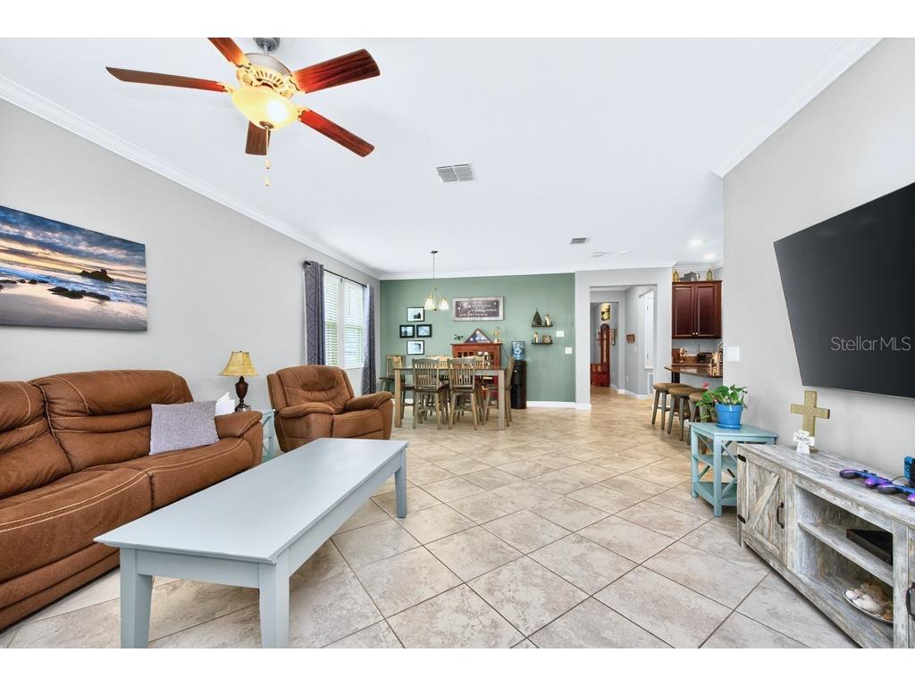 13222 Orca Sound Drive Riverview FL 33579 TB8495072 image9